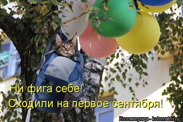 http://filed7-6.my.mail.ru/pic?url=http%3A%2F%2Fkotomatrix.ru%2Fimages%2Flolz%2F2012%2F07%2F24%2Fkotomatritsa_Y.jpg&amp;mw=&amp;mh=&amp;sig=0c7315df77a4d169cefca35e25510e70