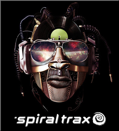 Spiral Trax Records presents: Compilations Collection - 29 Releases (1998-2019)